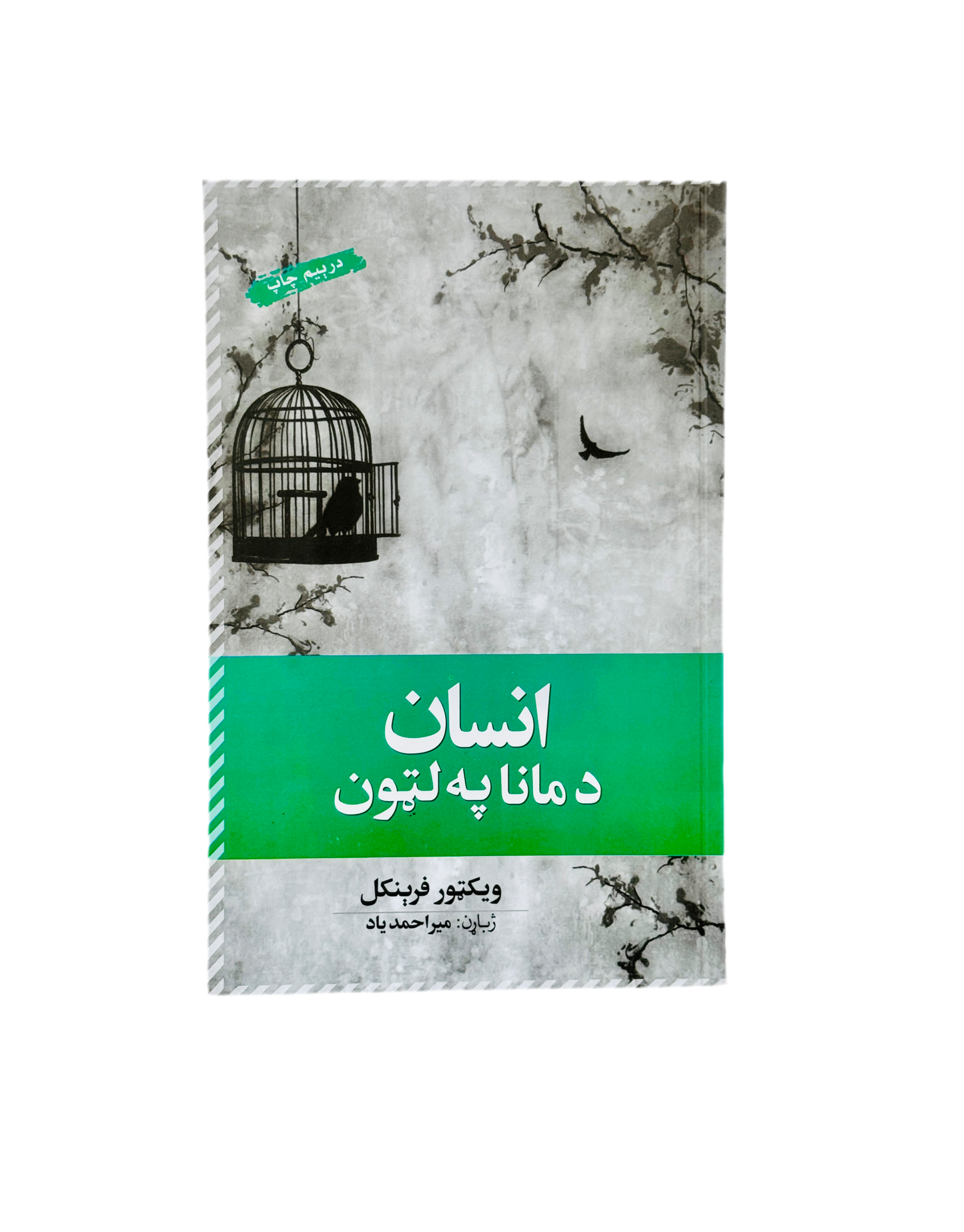 انسان د مانا په لټون