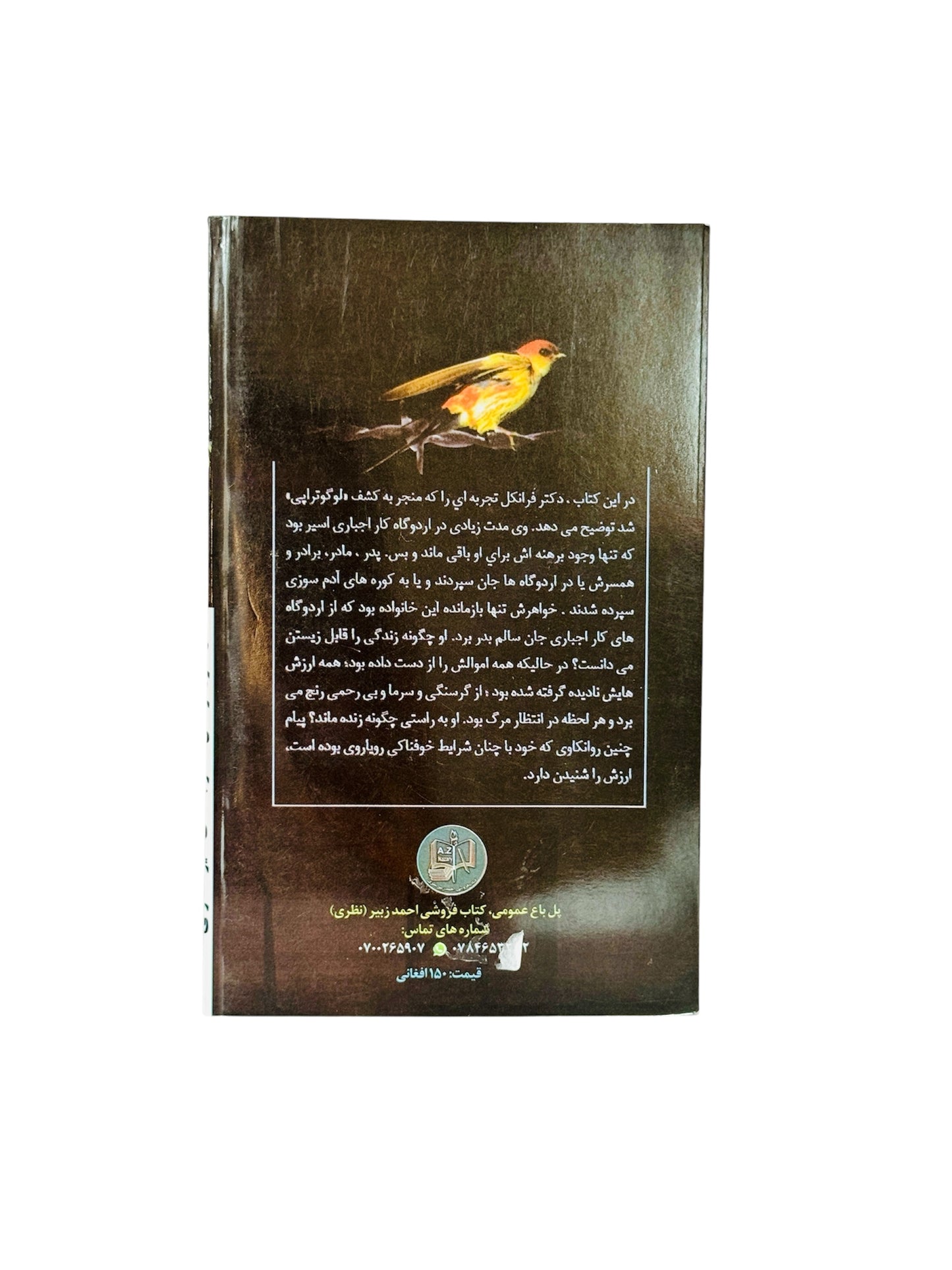 انسان در جستجوی معنا